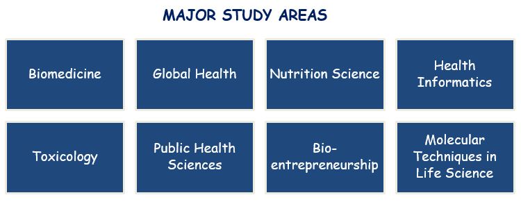 KI_Major_Study_Areas