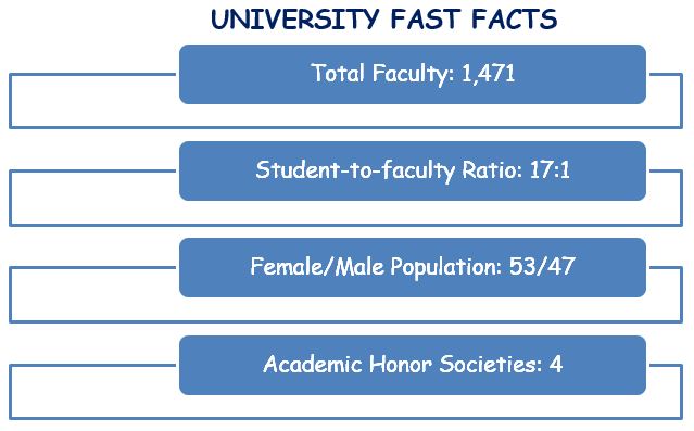 st john's university essay requirements