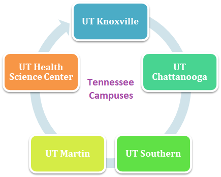 University Of Tennessee Admission 2023: Application Fees, Deadlines ...