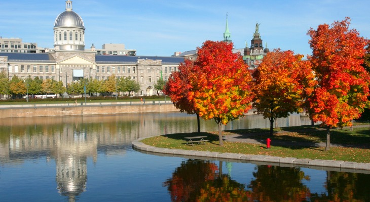 Top Universities in Montreal