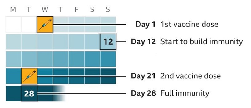 Covid-19 Vaccine timeline