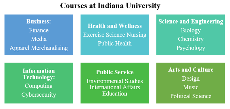 indiana university phd requirements